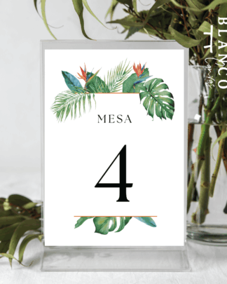 Numero de mesa tarjeta